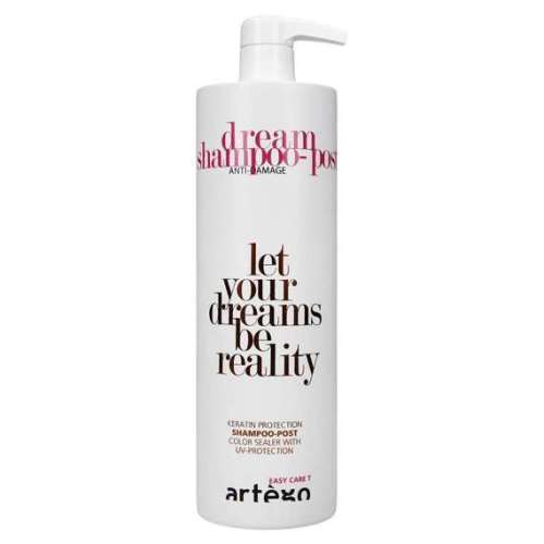 pol_pm_Easy-Care-T-Dream-Shampoo-Post-szampon-odzywczy-1000-ml-Artego-4171_1.jpg